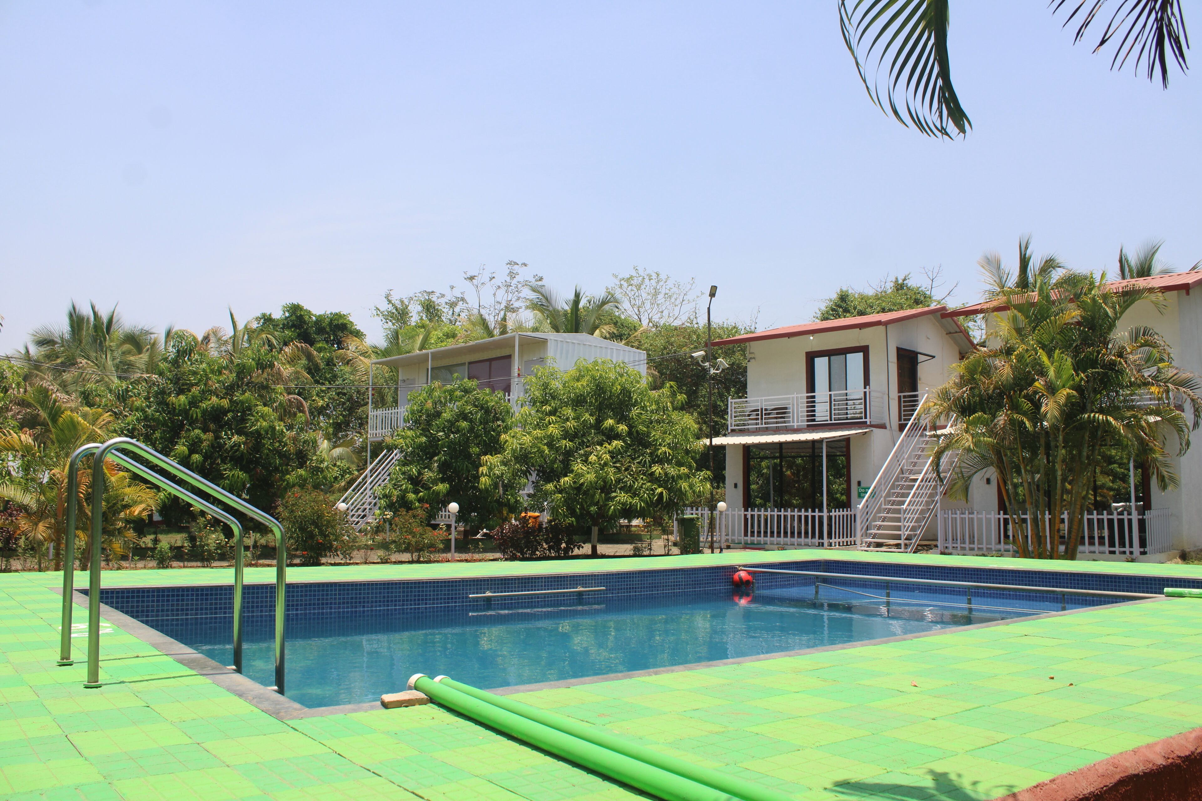 A swimming pool with a green deck, surrounded by palm trees and buildings.