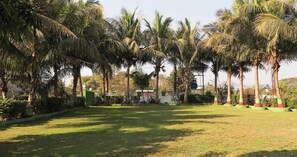 Garden - Sandy's Kinjal Farm & Tents Maharashtra (Karjat)