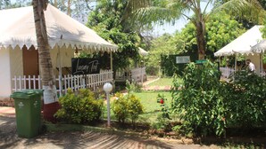 Zona de jardí amb una tanca blanca, un cubell de brossa verd i un cartell que diu 'Luxury Tent'.