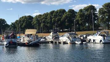 Vista desde la propiedad