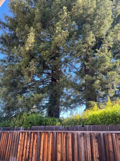 Stylish Condo Steps from St. Helena Wineries & Downtown