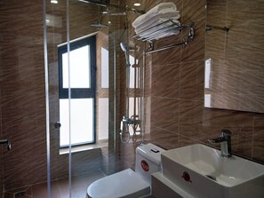 Shower, hair dryer, bidet, towels