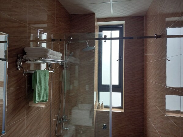 Shower, hair dryer, bidet, towels