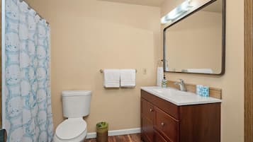 Hair dryer, towels, soap, shampoo