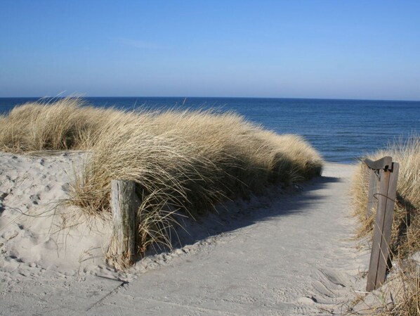 Apartment | 1 bedroom - In the Villa Wiesenweg (Ostseebad Dierhagen)