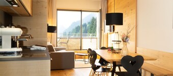 施羅肯公寓近阿爾貝格滑雪場