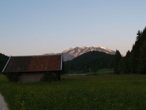 Eksteriør
