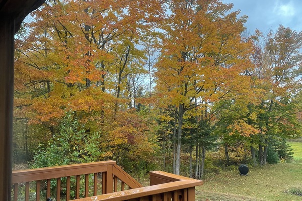 Àrea exterior de l'allotjament