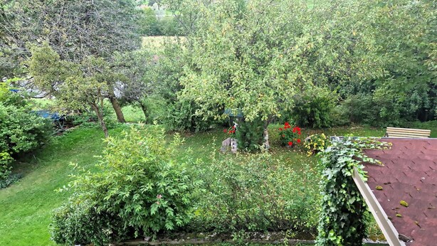Een weelderige tuin met verschillende bomen en struiken, een houten bank en een metalen hekwerk.