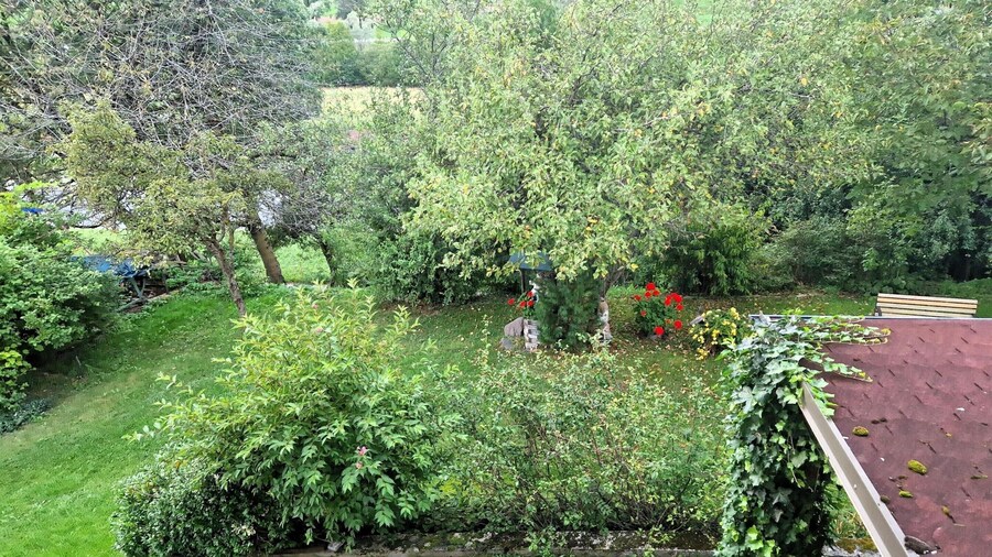 Quiet Holiday Apartment Near Laghi Di Fusine