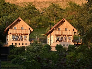 Dos chalets de madera con balcones, rodeados de exuberante vegetación y árboles.