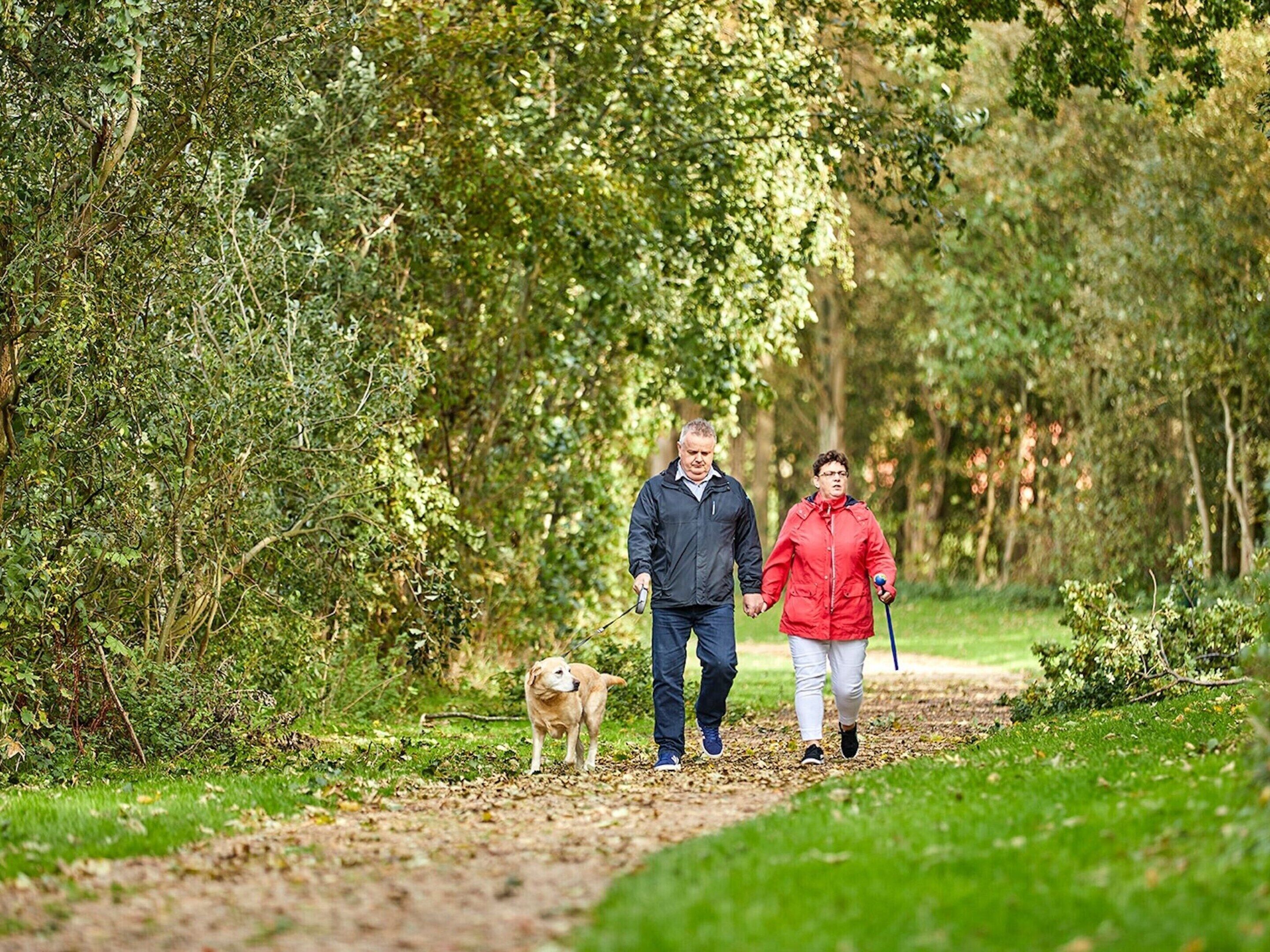 Ein Paar spaziert mit einem Hund auf einem Feldweg, umgeben von viel Grün.