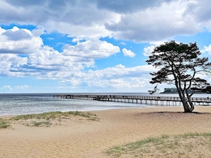 Une plage avec une jetée en bois qui s’avance dans l’eau, un arbre isolé sur le sable et un ciel partiellement nuageux.
