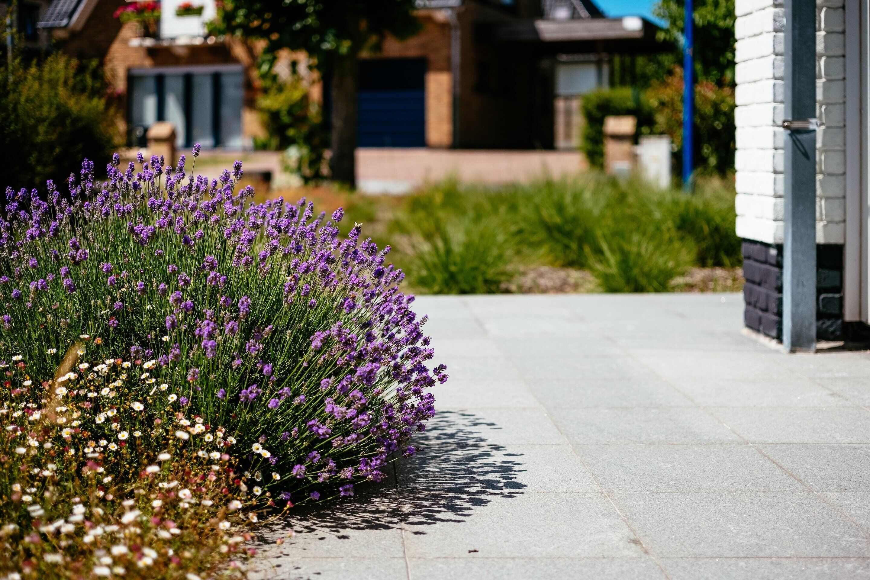 Villa | Perincian bahagian dalam