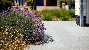 Ein Garten mit Lavendel und weißen Blüten vor einem Gebäude mit Ziegeln und einer blauen Garagentür.
