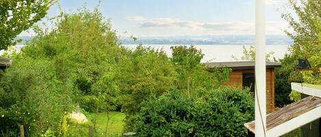 House | View from property