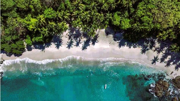 Une plage à l’eau turquoise et limpide, au sable blanc et bordée d’une végétation luxuriante.