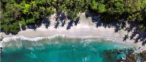On the beach, sun-loungers, beach towels
