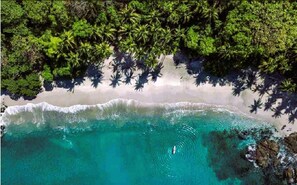 Ein Strand mit klarem türkisblauem Wasser, weißem Sand und üppiger, grüner Vegetation.