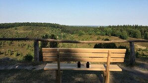 A wooden bench with two bottles on it, overlooking a forested landscape. - Heidetraum in der Pension Heidetraum (Bispingen)