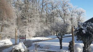 A snowy landscape with bare trees and a road. - Heidetraum in der Pension Heidetraum (Bispingen)
