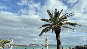 Un patio frente al mar con mesas y sillas, una palmera y vistas al océano.
