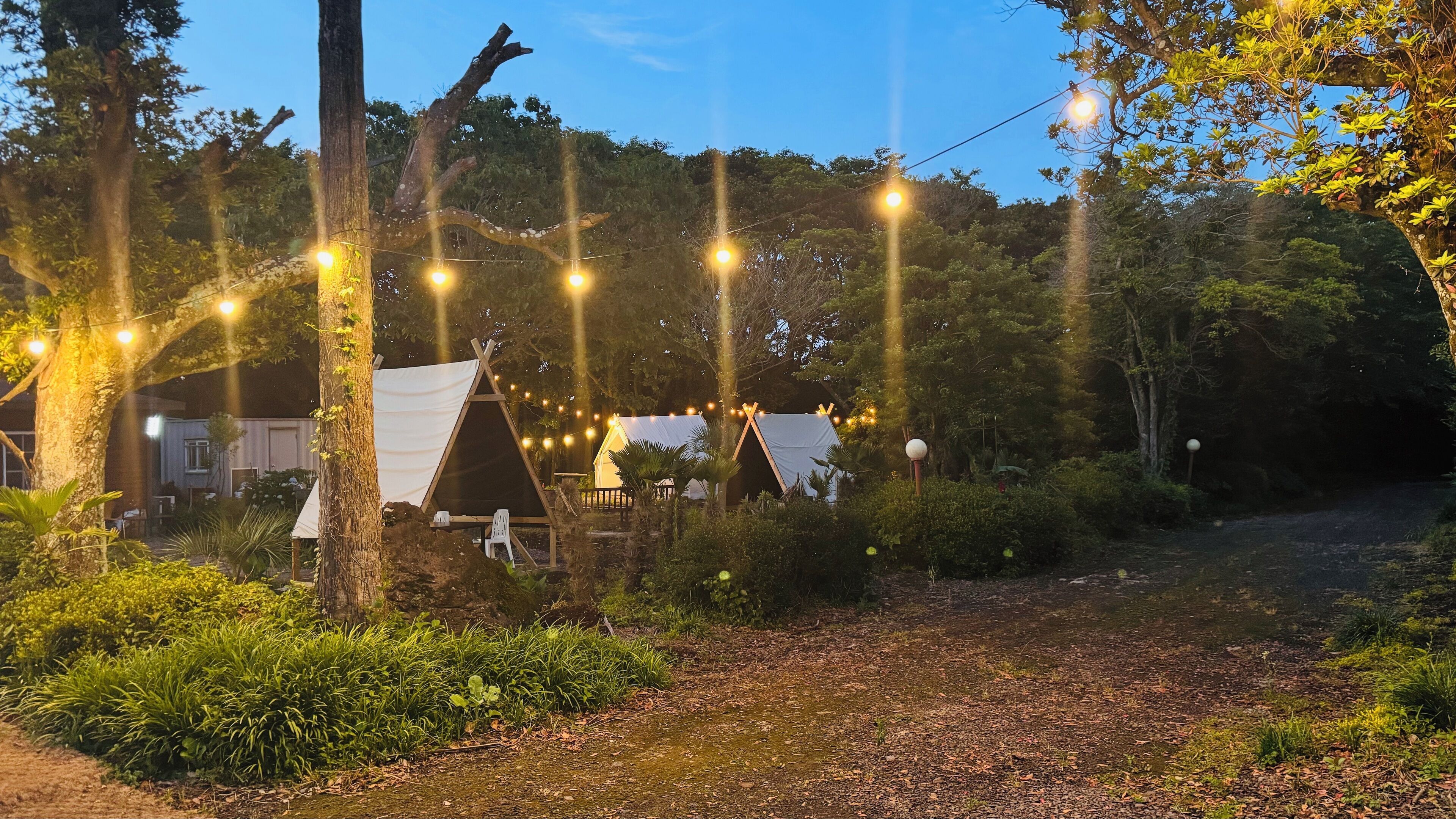 A campsite with tents and string lights, surrounded by trees and greenery.