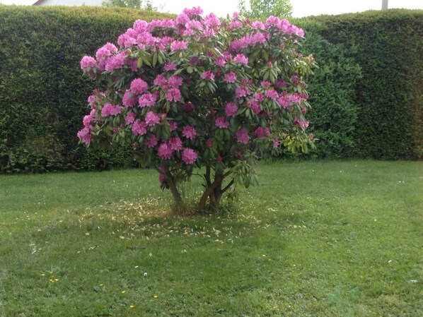 Exterior - Glasner Comfortable Holiday Residence (Bad Camberg)