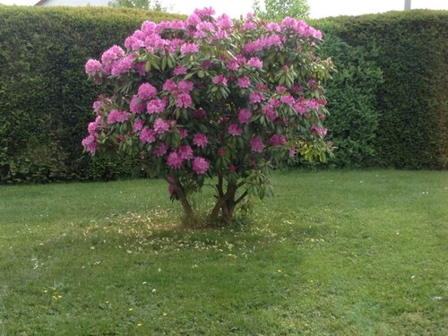 Glasner Comfortable Holiday Residence