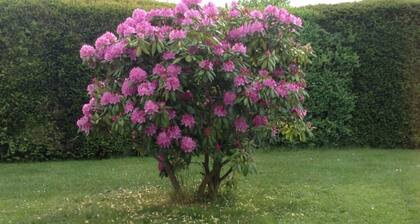 Glasner Comfortable Holiday Residence