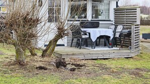 A small wooden structure with a deck, a table, and chairs. - 4 Person Holiday Home in Falkenberg-by Traum (Falkenberg)