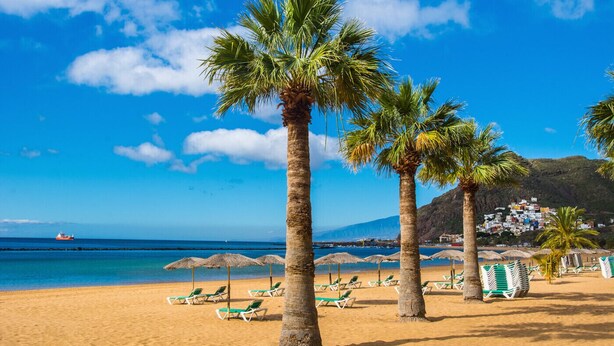 A beach with palm trees, sun loungers, and a clear blue sky.