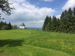 View from property - Apartment in the Waxenegg Country House (Sulzberg)