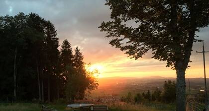 Apartment in the Waxenegg Country House