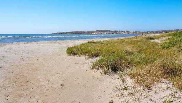 A sandy beach with grassy dunes and a clear blue sky. - 6 Person Holiday Home in Varberg-by Traum (Varberg)