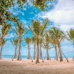Sulla spiaggia, sabbia bianca, ombrelloni, teli da spiaggia