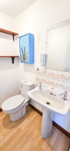 تجهيزات دش، مجففات شعر، مناشف، صابون