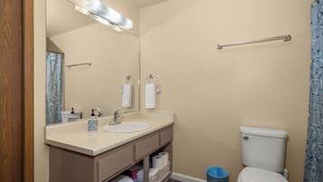 Secadora de cabello, toallas, jabón, shampoo