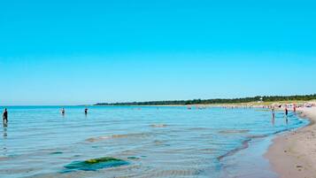 A beach with clear blue water, sandy shore, and a distant tree line.