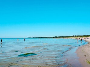 Ein Strand mit klarem, blauem Wasser, sandigem Ufer und einer fernen Baumgrenze.