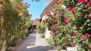 A cobblestone pathway flanked by lush greenery and blooming flowers, leading to a building with a red-tiled roof.