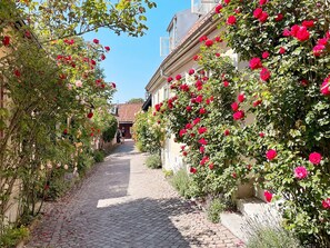Ein Pflasterweg, gesäumt von üppigem Grün und blühenden Blumen, führt zu einem Gebäude mit rotem Ziegeldach.
