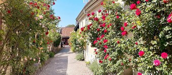 4 Star Holiday Home in Gotlands Tofta-by Traum