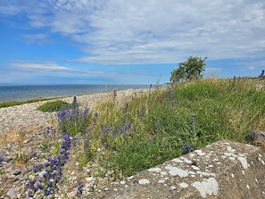 A coastal landscape with a rocky shoreline, wildflowers, and a clear view of the sea.