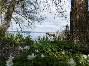 A natural landscape with a tree, water, and a distant shoreline. - Kugelhaus Phoebe (Penzlin)