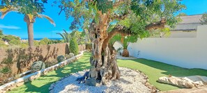 Property grounds - Villa La Seldeta by Solidays - Moraira, Costa Blanca (Moraira)