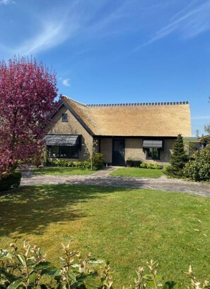 Exterior - On the Dunes and North Sea (Schoorl)