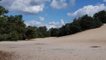 Pemandangan dari properti