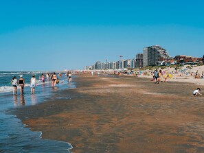 Căn hộ | Quang cảnh nhìn từ nơi lưu trú