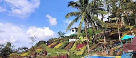 Piscina externa
